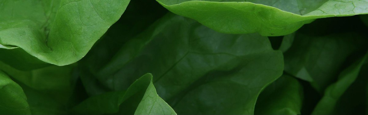 CHỌN ĐÚNG THUỐC HÔM NAY